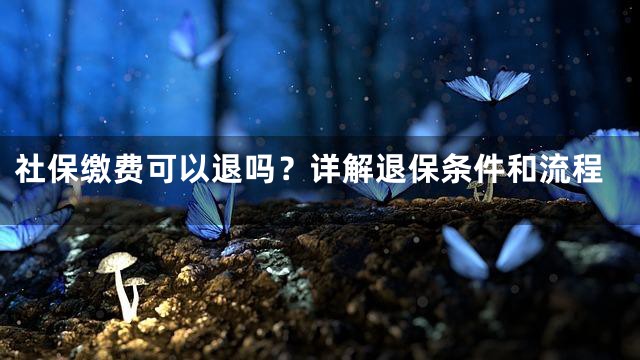 社保缴费可以退吗？详解退保条件和流程