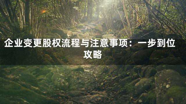 企业变更股权流程与注意事项：一步到位攻略