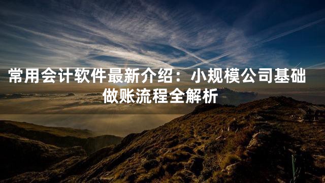 常用会计软件最新介绍：小规模公司基础做账流程全解析