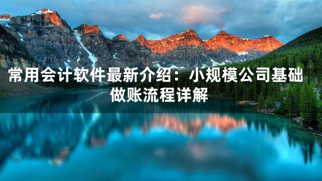 常用会计软件最新介绍：小规模公司基础做账流程详解