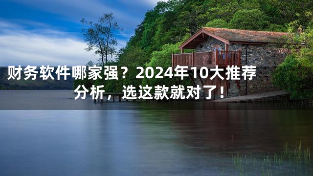 财务软件哪家强？2024年10大推荐分析，选这款就对了！