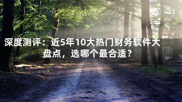 深度测评：近5年10大热门财务软件大盘点，选哪个最合适？