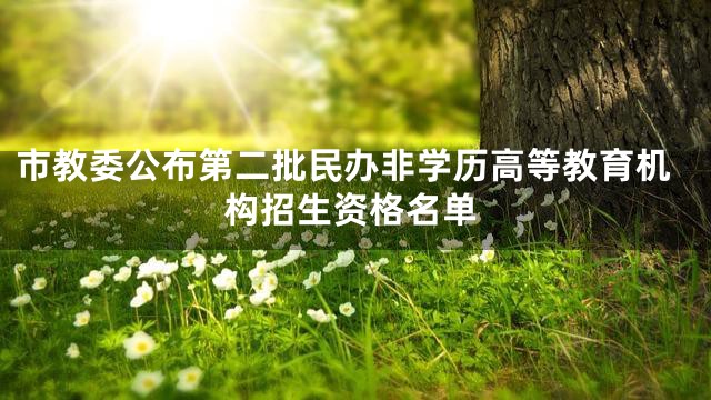 市教委公布第二批民办非学历高等教育机构招生资格名单