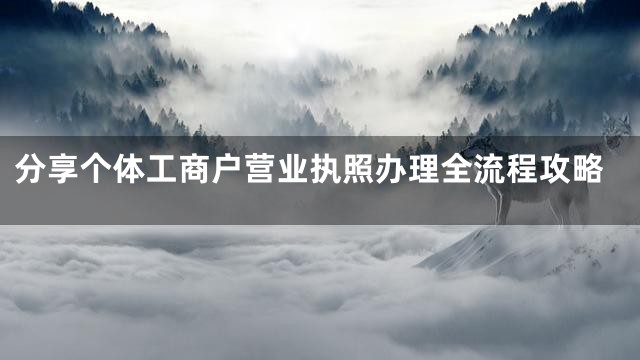 分享个体工商户营业执照办理全流程攻略