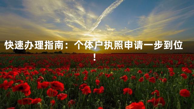 快速办理指南：个体户执照申请一步到位！