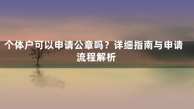 个体户可以申请公章吗？详细指南与申请流程解析