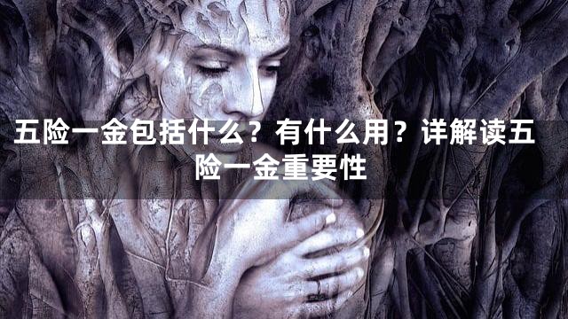 五险一金包括什么？有什么用？详解读五险一金重要性