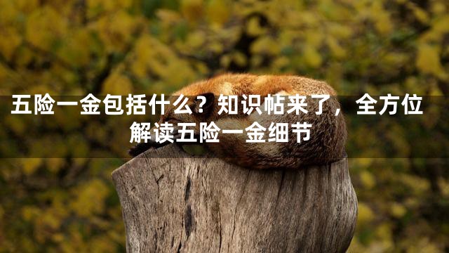 五险一金包括什么？知识帖来了，全方位解读五险一金细节