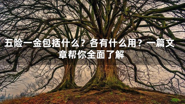 五险一金包括什么？各有什么用？一篇文章帮你全面了解
