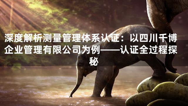深度解析测量管理体系认证：以四川千博企业管理有限公司为例——认证全过程探秘