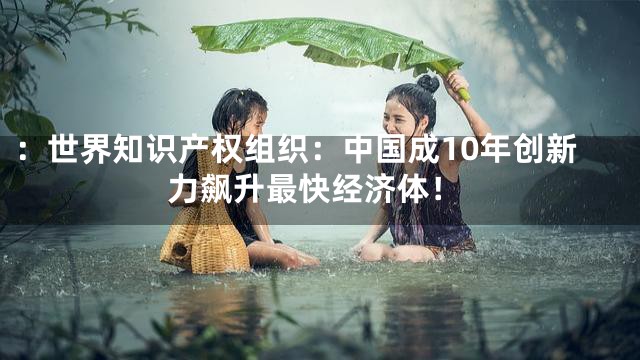 ：世界知识产权组织：中国成10年创新力飙升最快经济体！