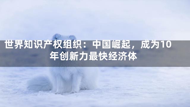 世界知识产权组织：中国崛起，成为10年创新力最快经济体