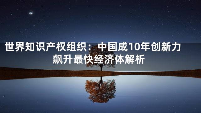 世界知识产权组织：中国成10年创新力飙升最快经济体解析