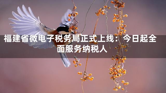 福建省微电子税务局正式上线：今日起全面服务纳税人