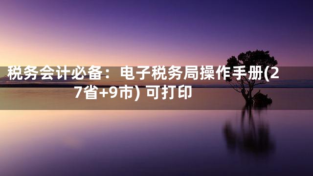 税务会计必备：电子税务局操作手册(27省+9市) 可打印