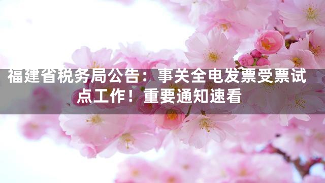 福建省税务局公告：事关全电发票受票试点工作！重要通知速看