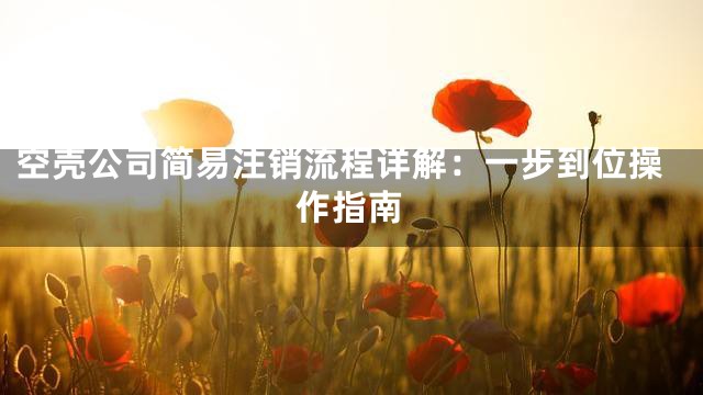 空壳公司简易注销流程详解：一步到位操作指南