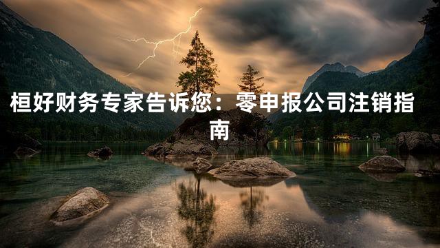 桓好财务专家告诉您：零申报公司注销指南