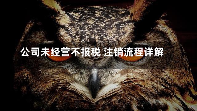 公司未经营不报税 注销流程详解