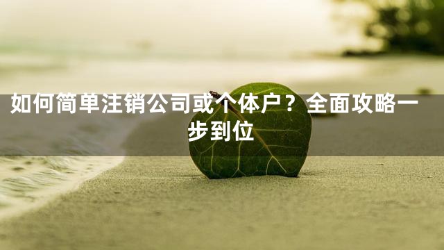 如何简单注销公司或个体户？全面攻略一步到位