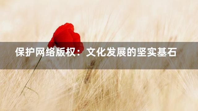 保护网络版权：文化发展的坚实基石