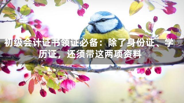 初级会计证书领证必备：除了身份证、学历证，还须带这两项资料