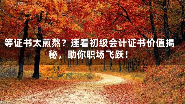 等证书太煎熬？速看初级会计证书价值揭秘，助你职场飞跃！