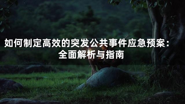 如何制定高效的突发公共事件应急预案：全面解析与指南