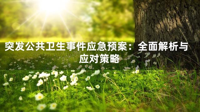 突发公共卫生事件应急预案：全面解析与应对策略