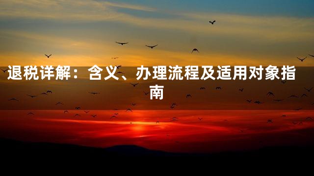 退税详解：含义、办理流程及适用对象指南