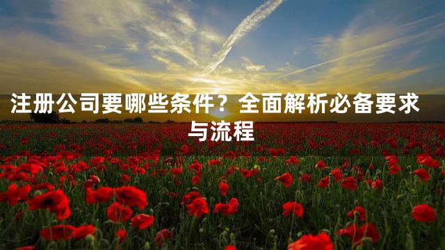 注册公司要哪些条件？全面解析必备要求与流程