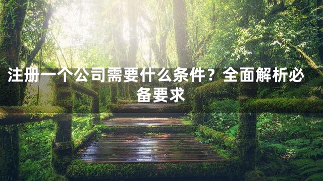 注册一个公司需要什么条件？全面解析必备要求