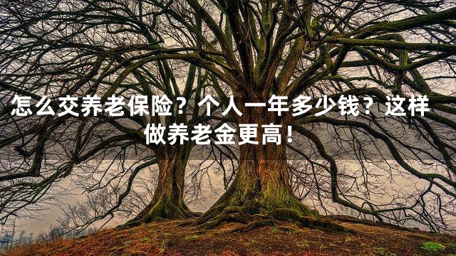 怎么交养老保险？个人一年多少钱？这样做养老金更高！