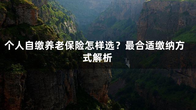 个人自缴养老保险怎样选？最合适缴纳方式解析