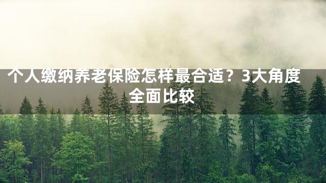 个人缴纳养老保险怎样最合适？3大角度全面比较