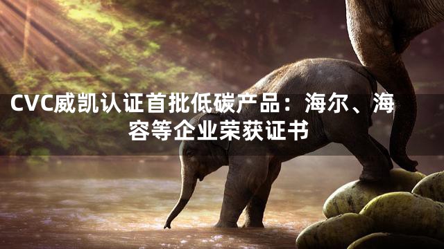 CVC威凯认证首批低碳产品：海尔、海容等企业荣获证书
