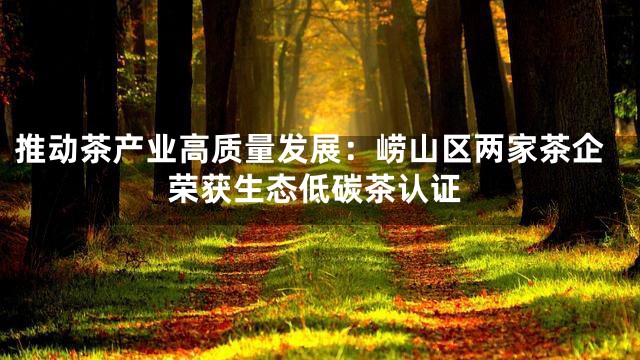 推动茶产业高质量发展：崂山区两家茶企荣获生态低碳茶认证