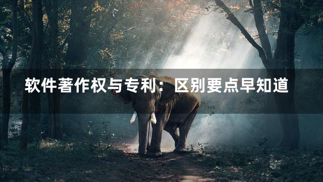 软件著作权与专利：区别要点早知道