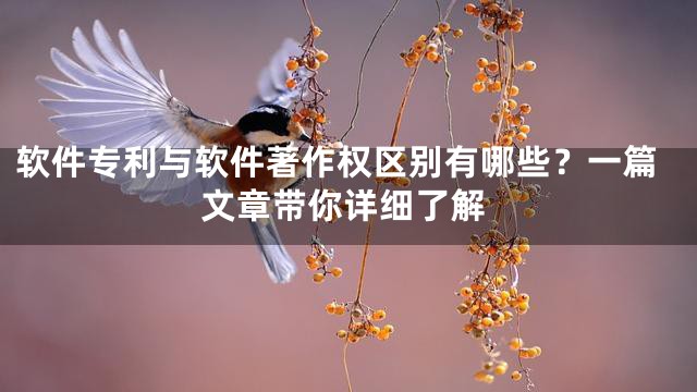软件专利与软件著作权区别有哪些？一篇文章带你详细了解