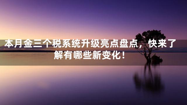 本月金三个税系统升级亮点盘点，快来了解有哪些新变化！