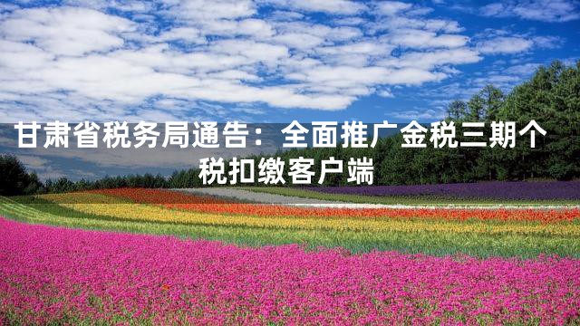 甘肃省税务局通告：全面推广金税三期个税扣缴客户端