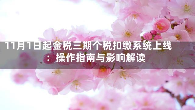 11月1日起金税三期个税扣缴系统上线：操作指南与影响解读