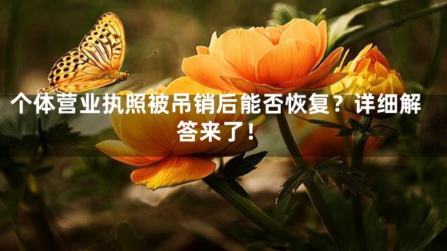 个体营业执照被吊销后能否恢复？详细解答来了！