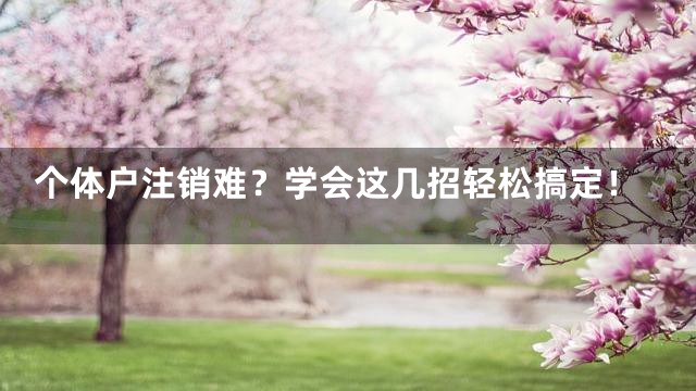 个体户注销难？学会这几招轻松搞定！