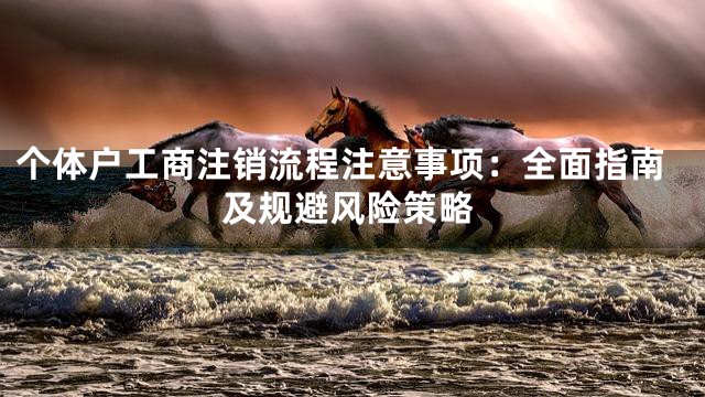 个体户工商注销流程注意事项：全面指南及规避风险策略