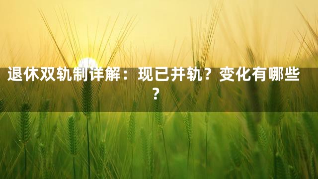 退休双轨制详解：现已并轨？变化有哪些？