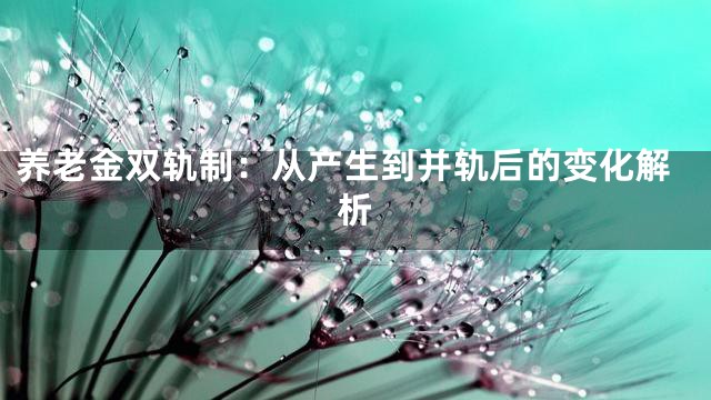 养老金双轨制：从产生到并轨后的变化解析