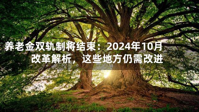 养老金双轨制将结束：2024年10月改革解析，这些地方仍需改进