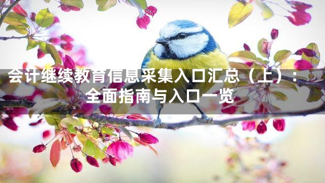会计继续教育信息采集入口汇总（上）：全面指南与入口一览
