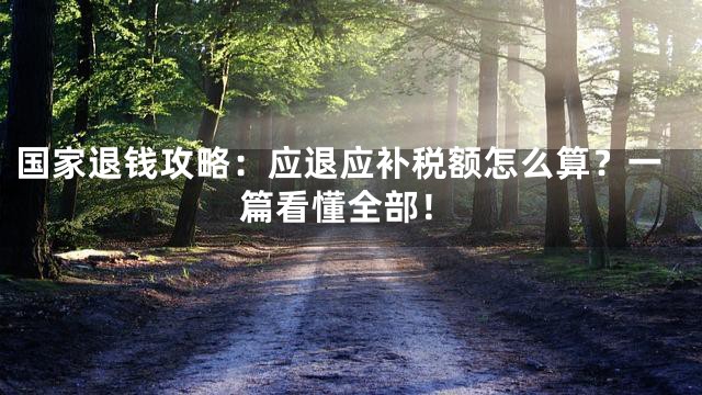 国家退钱攻略：应退应补税额怎么算？一篇看懂全部！